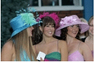 Limo Hire Royal Ascot